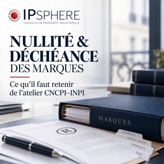 Nullité et déchéance des marques : ce qu'il faut retenir de l'atelier CNCPI–INPI